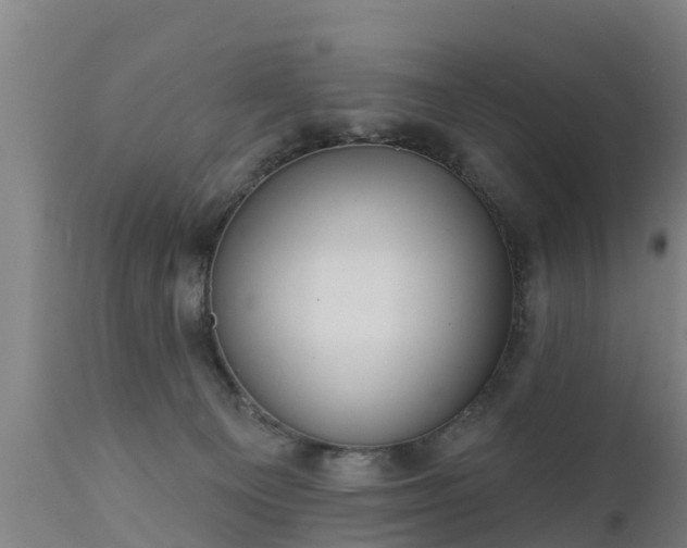 X0000111460129200907201122