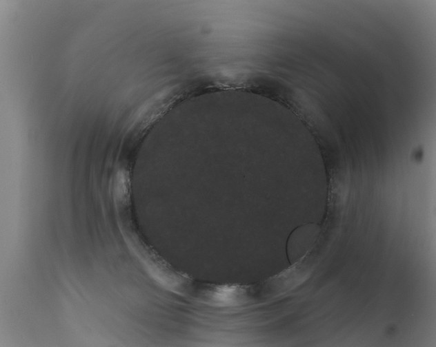 X0000111460130200907201122