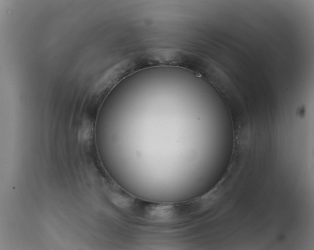 X0000111460132200907201122