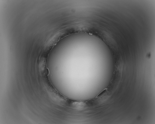 X0000111460133200907201122