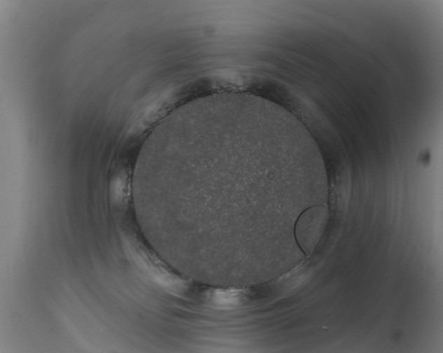 X0000111460134200907201121