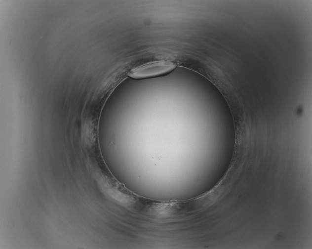 X0000111460136200907201121