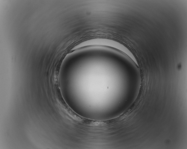 X0000111460137200907201121