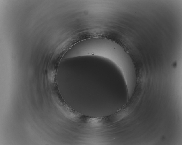 X0000111460139200907201121