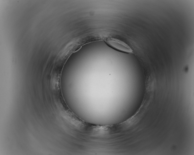 X0000111460140200907201121