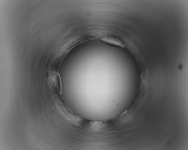 X0000111460141200907201121