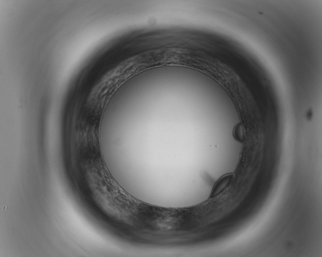 X0000111460142200907201121