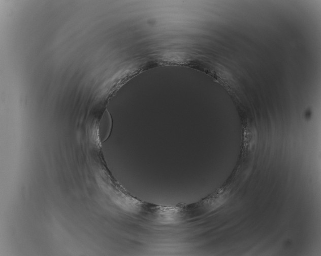 X0000111460143200907201121