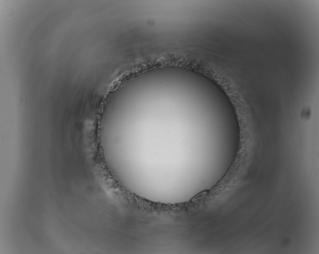 X0000111460144200907201121