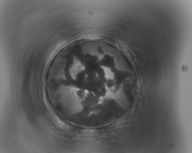 X0000111460145200907201120