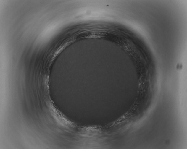 X0000111460146200907201120