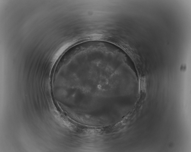 X0000111460147200907201120