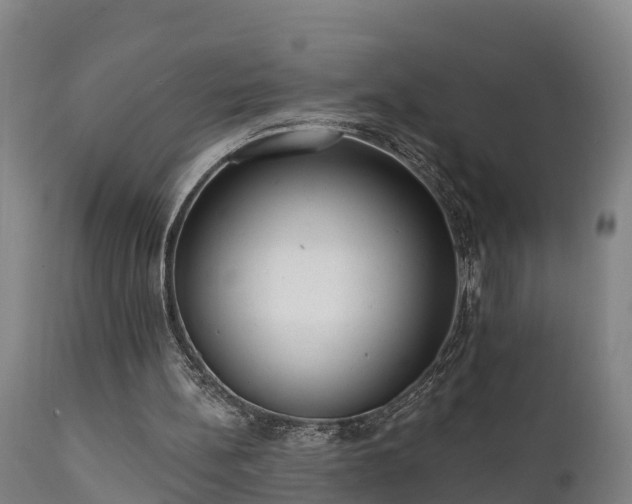 X0000111460148200907201120