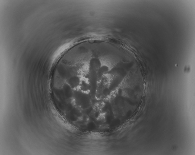 X0000111460149200907201121