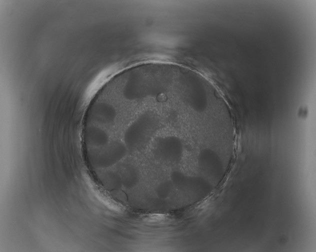 X0000111460151200907201121