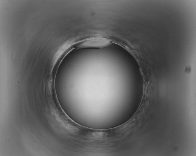 X0000111460152200907201121