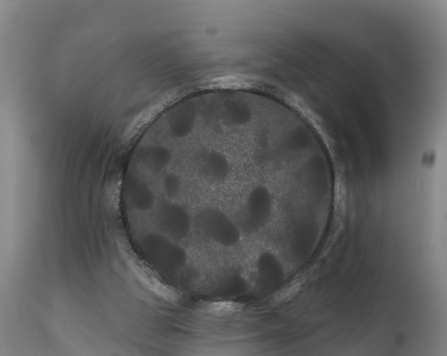 X0000111460153200907201121