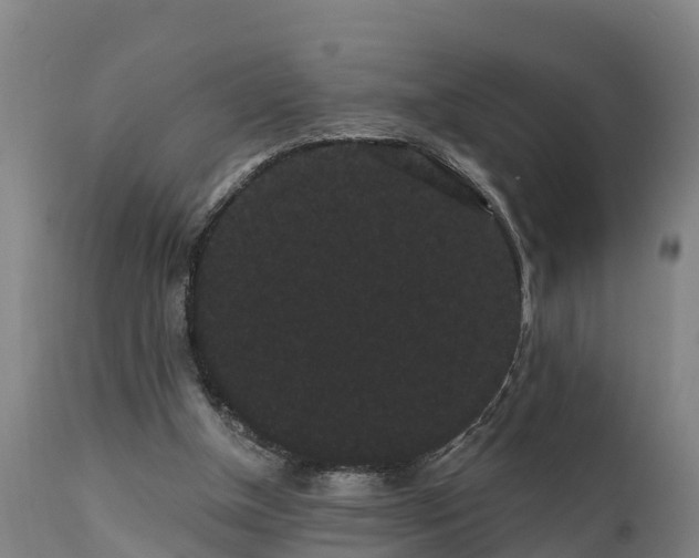 X0000111460154200907201121