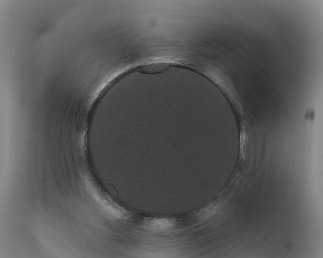 X0000111460156200907201121