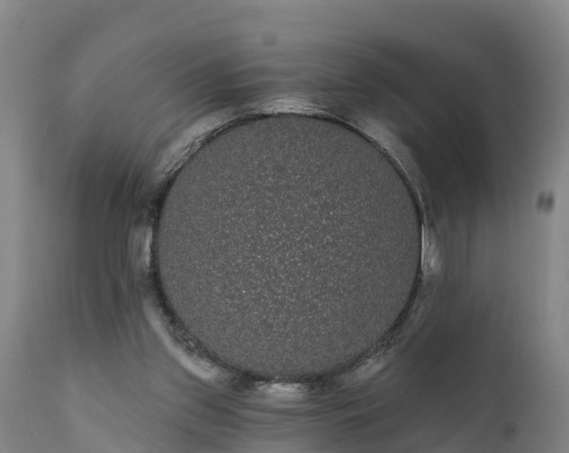 X0000111460157200907201121