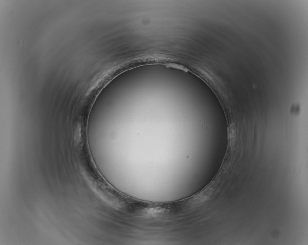 X0000111460158200907201121