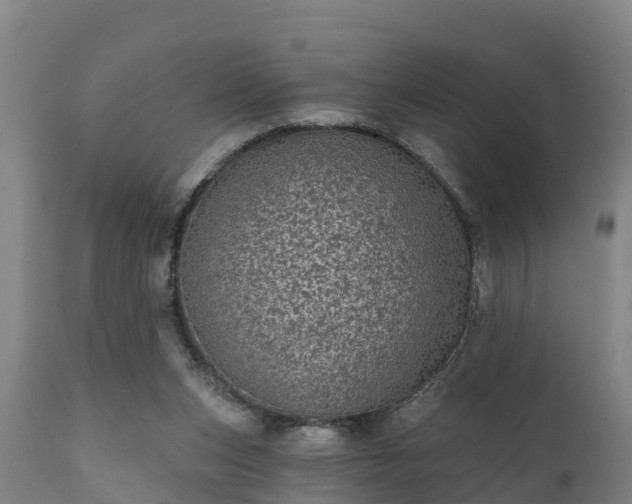 X0000111460159200907201121