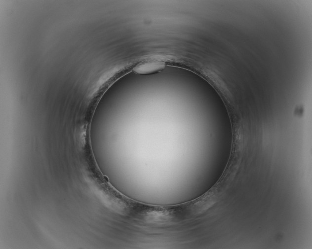 X0000111460160200907201121