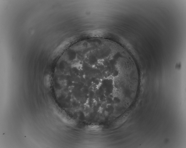 X0000111460161200907201121