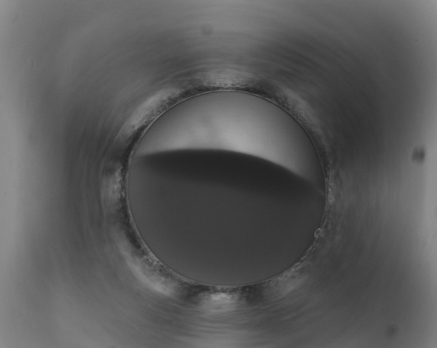 X0000111460163200907201121