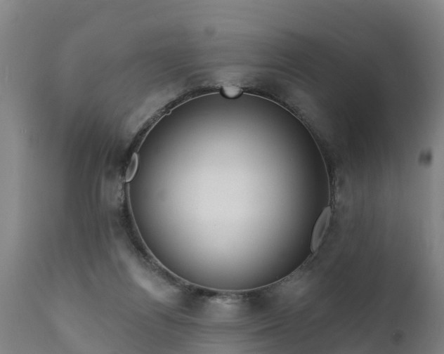 X0000111460164200907201121