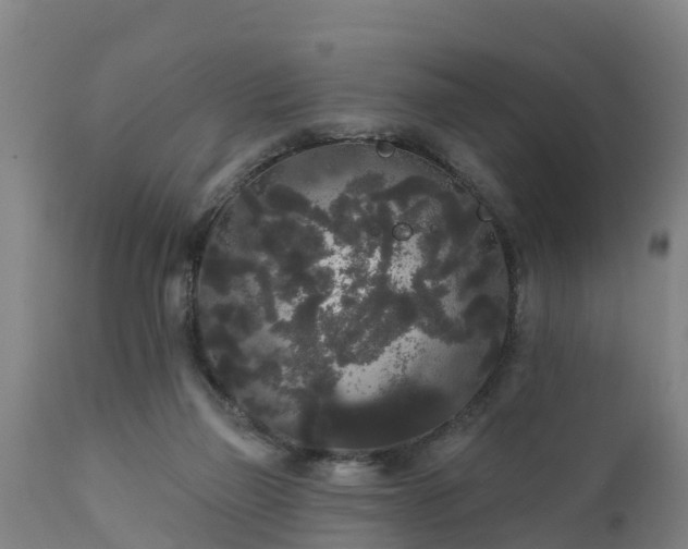 X0000111460165200907201121