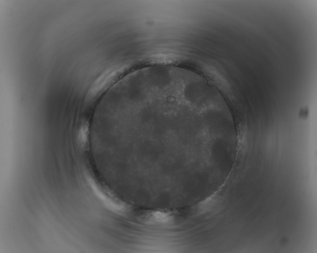 X0000111460166200907201121