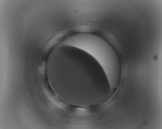 X0000111460167200907201121