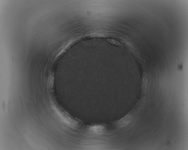 X0000111460168200907201121