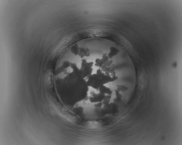 X0000111460169200907201121