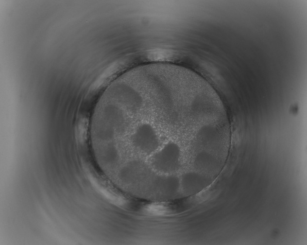 X0000111460171200907201121