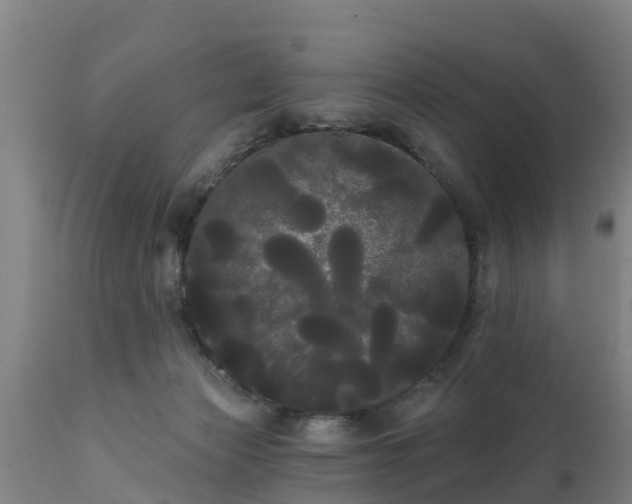 X0000111460173200907201121