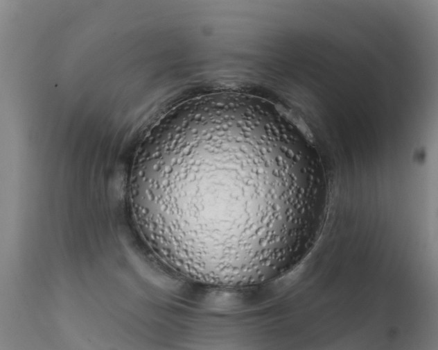 X0000111460174200907201121