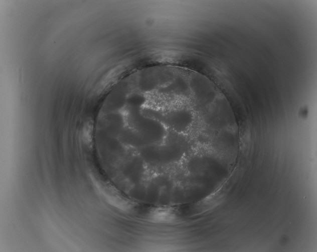 X0000111460175200907201121