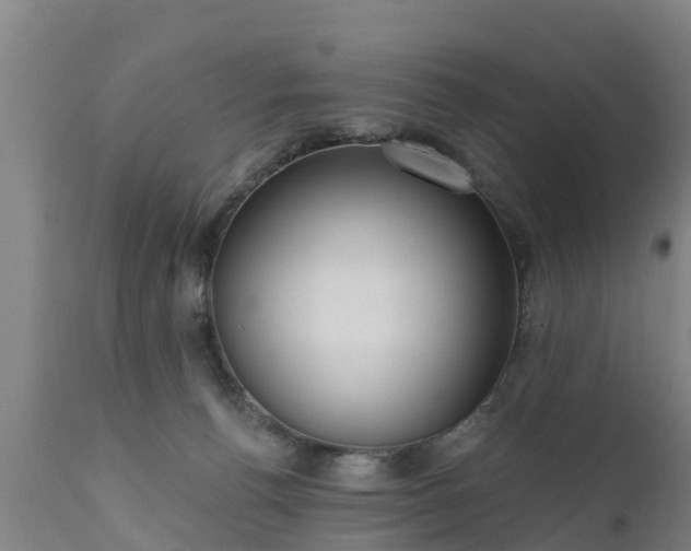 X0000111460176200907201121