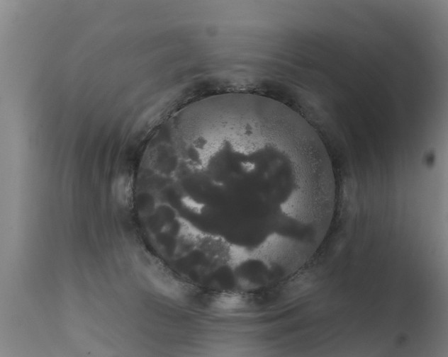 X0000111460177200907201121