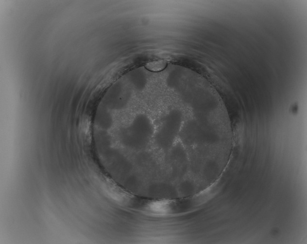 X0000111460178200907201121