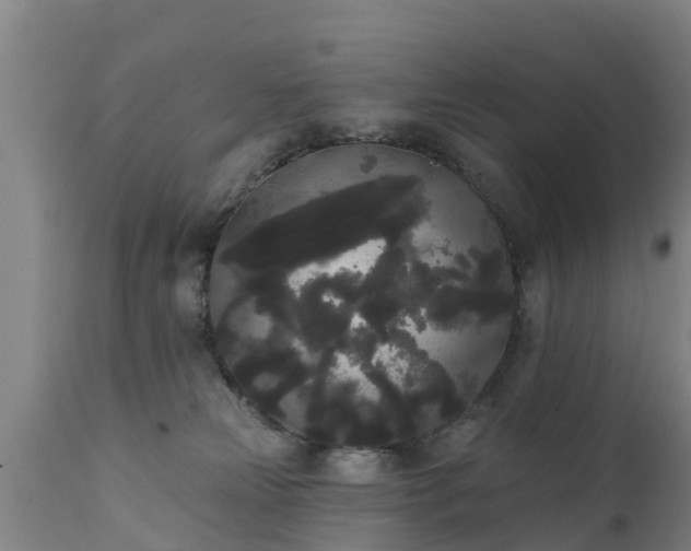 X0000111460181200907201121