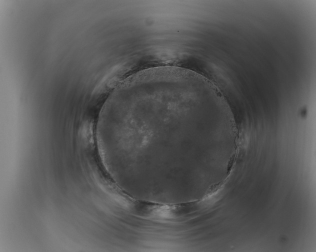 X0000111460182200907201121