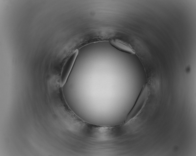 X0000111460184200907201121