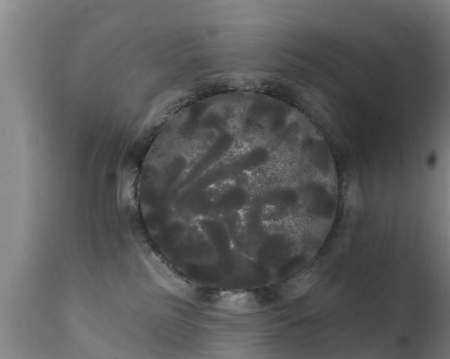 X0000111460185200907201121