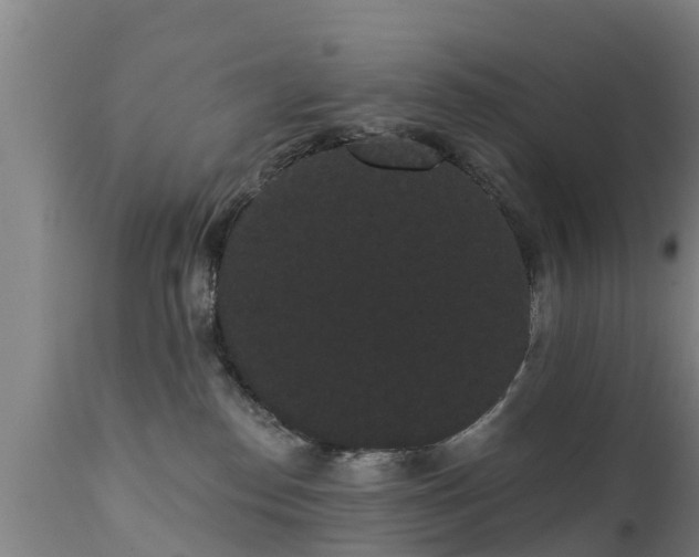 X0000111460186200907201121