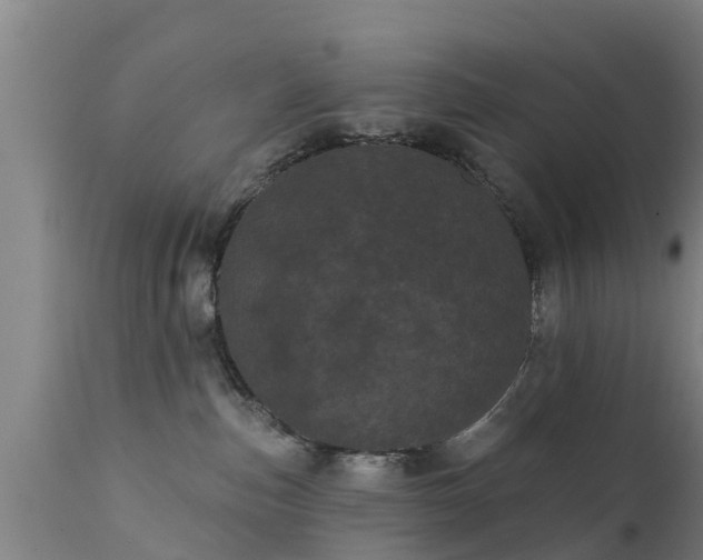 X0000111460187200907201121