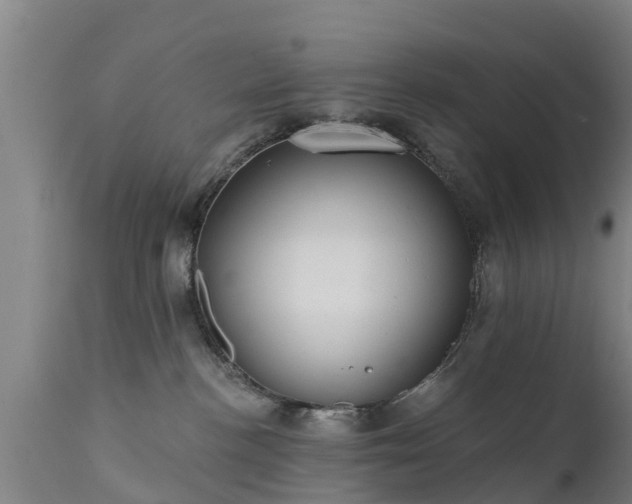 X0000111460188200907201121