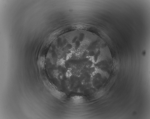 X0000111460189200907201121